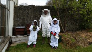 Beginners Beekeeping Course Kilkenny