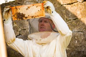 help with bee keeping