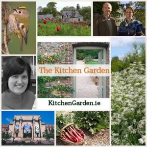 the Kitchen Garden show