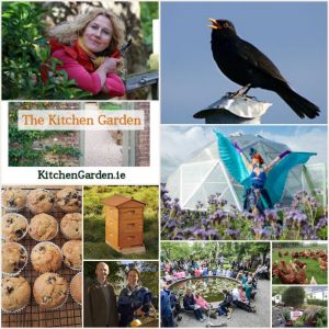 The Kitchen Garden Radio Show, 17th of August 2018
