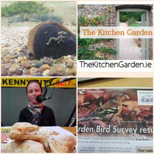 Kitchen Garden show 301118