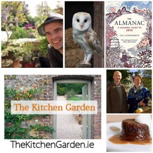 Kitchen Garden 040119