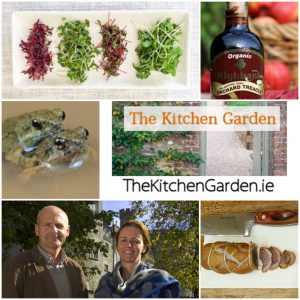 Kitchen Garden 220219